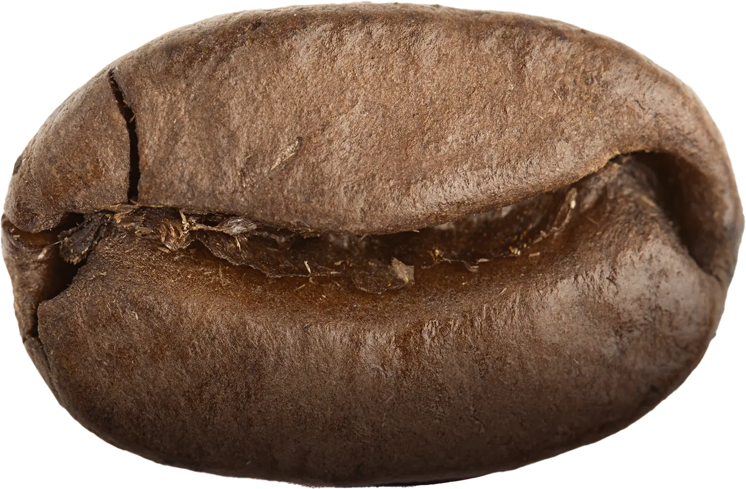 'koffieboon koffiebar'