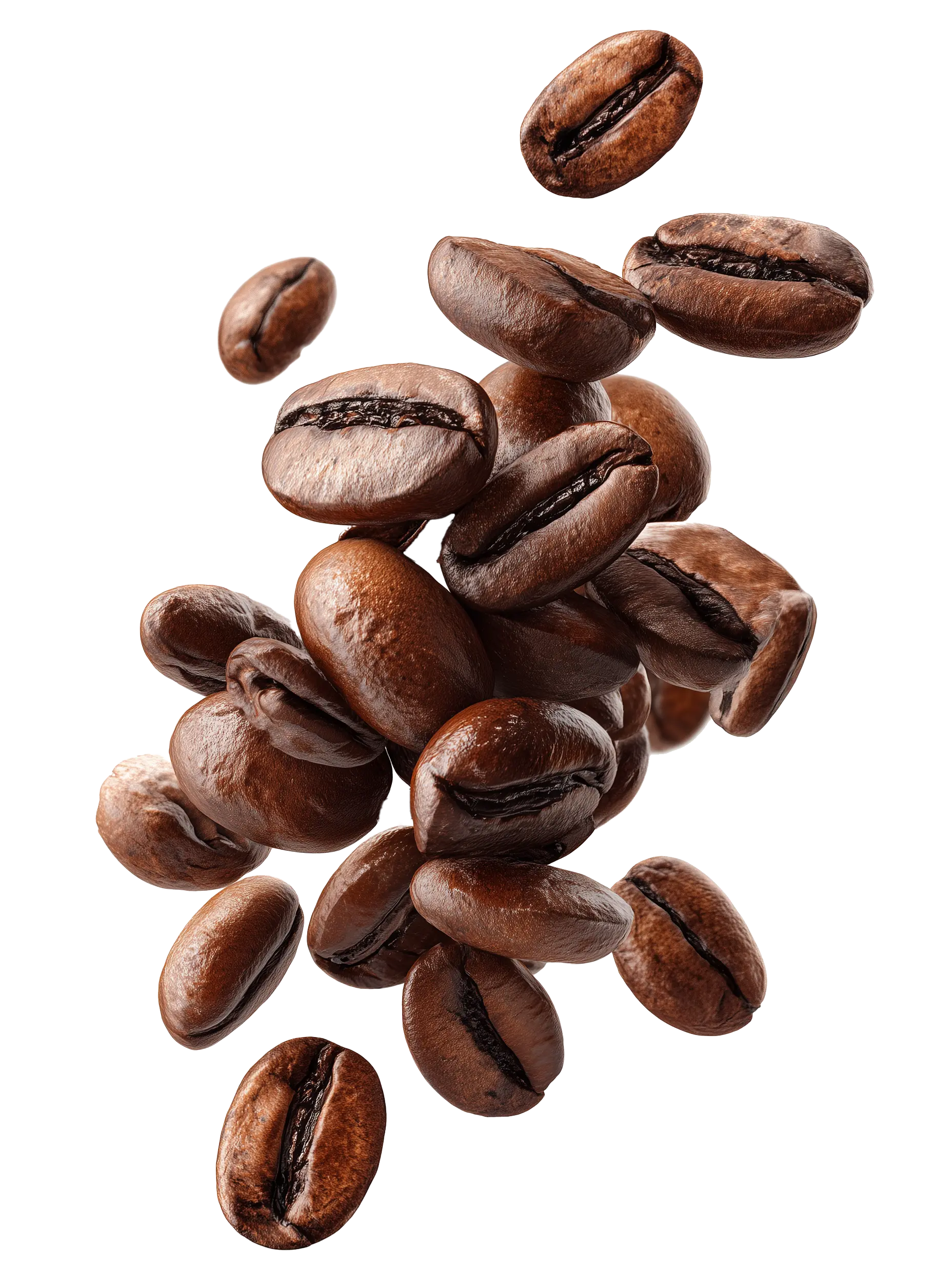 Barista Jerome - Mobiele koffiebar